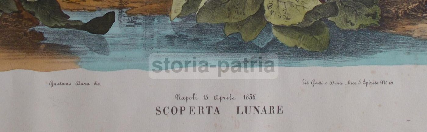 Stampa Litografica Lunare Napoli 1836 Gaetano Dura Colorata