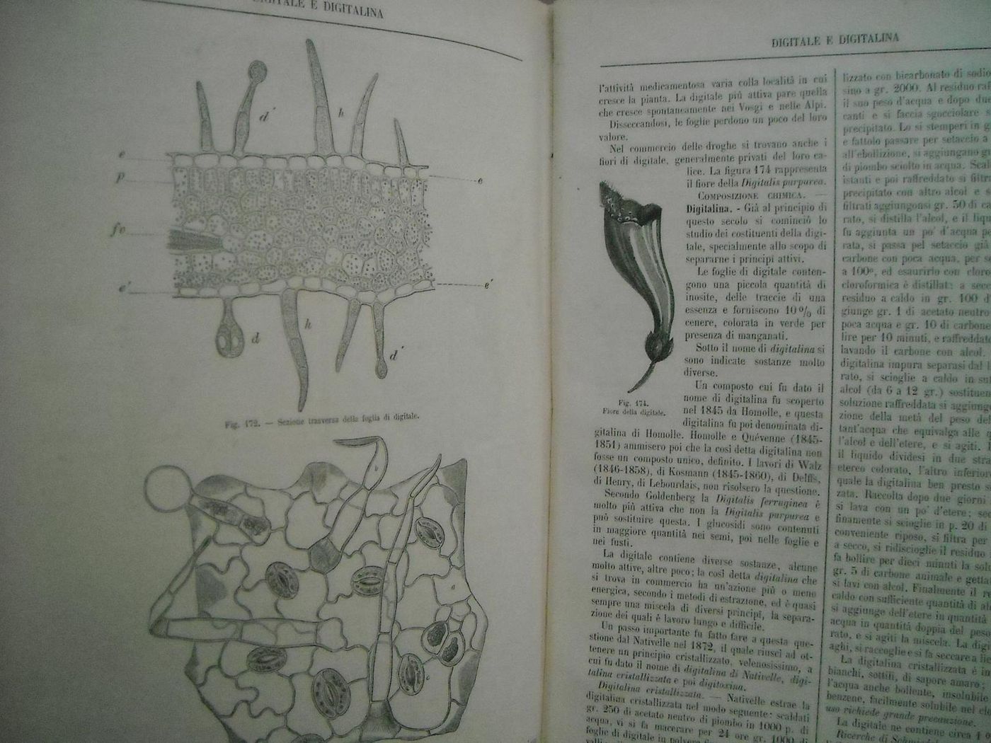 Commentario Farmacopea Italiana Di Icilio Guareschi, 1897 (6 Volumi)