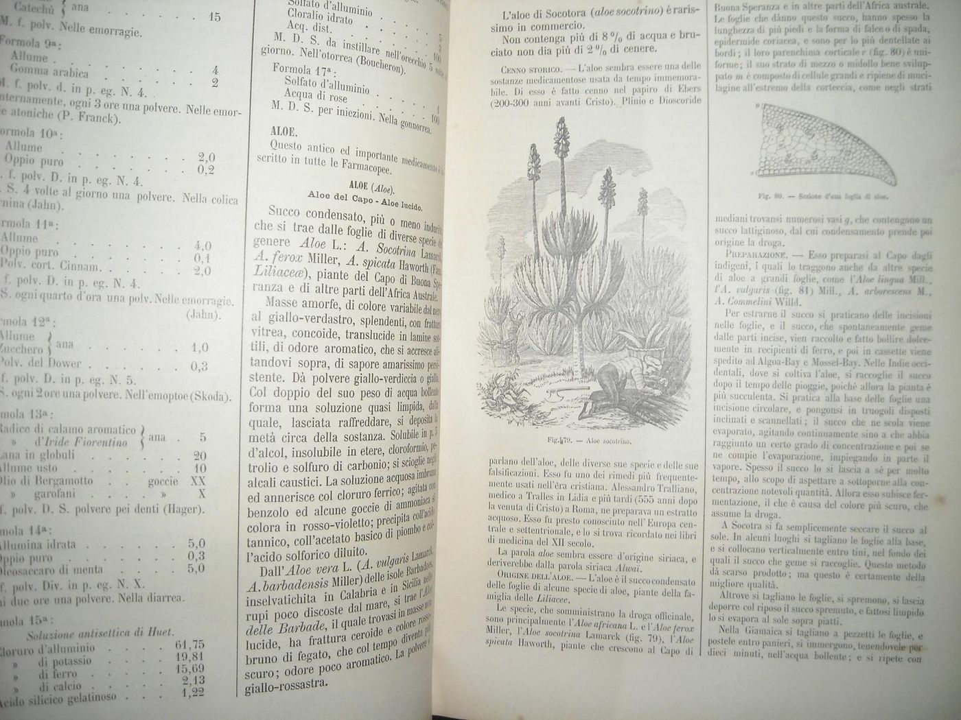 Commentario Farmacopea Italiana Di Icilio Guareschi, 1897 (6 Volumi)