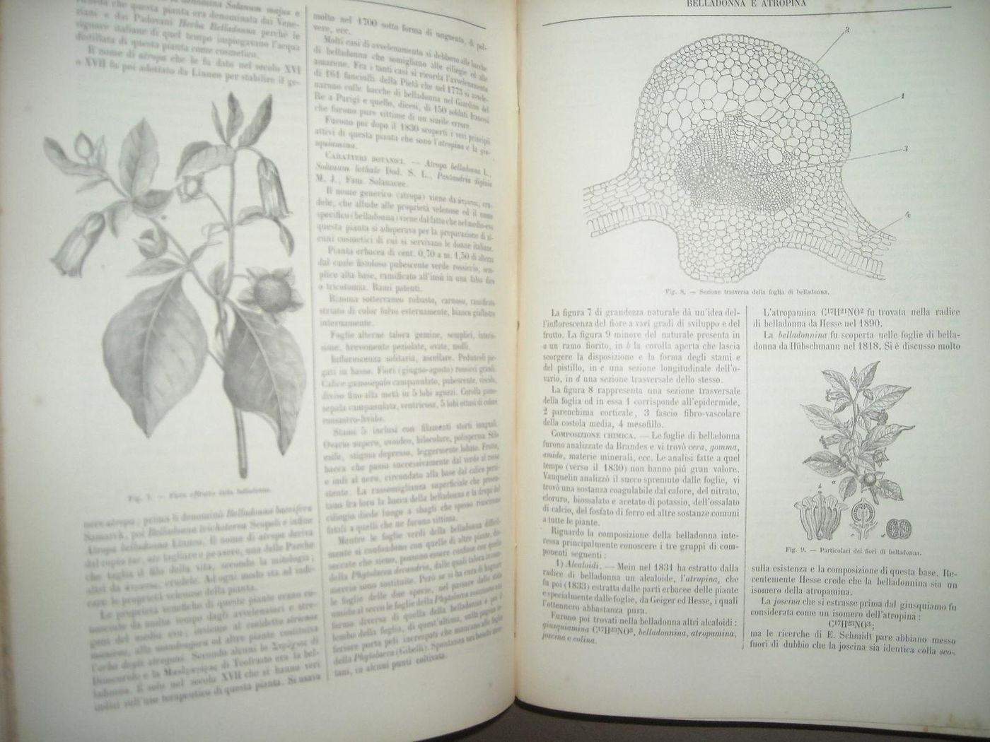 Commentario Farmacopea Italiana Di Icilio Guareschi, 1897 (6 Volumi)