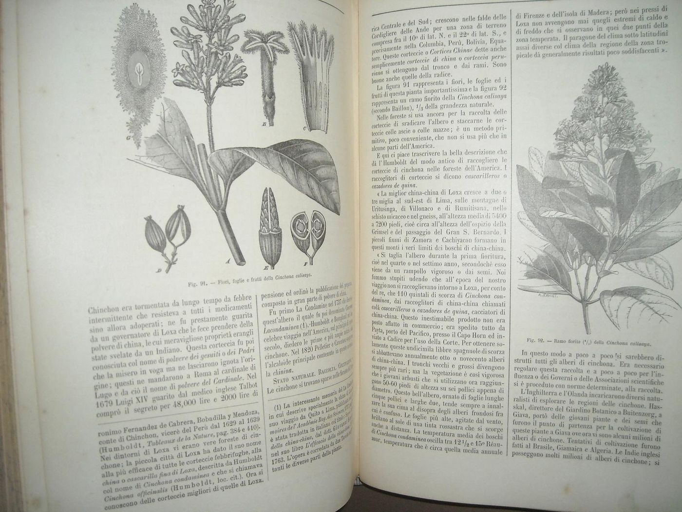 Commentario Farmacopea Italiana Di Icilio Guareschi, 1897 (6 Volumi)