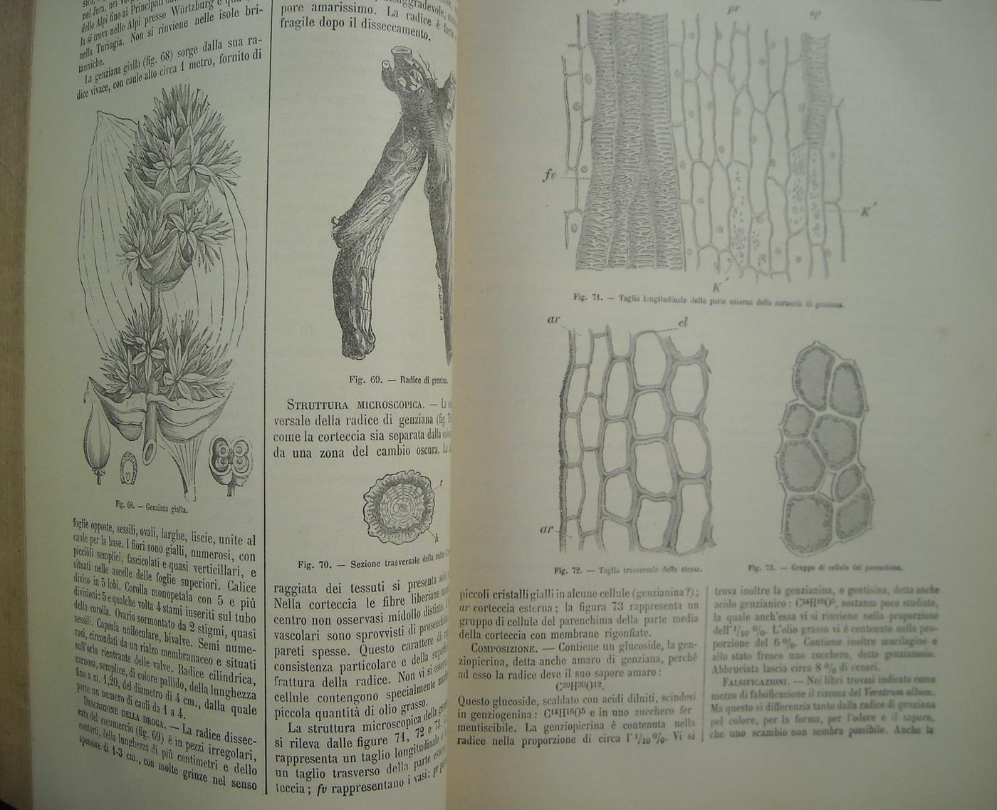 Commentario Farmacopea Italiana Di Icilio Guareschi, 1897 (6 Volumi)