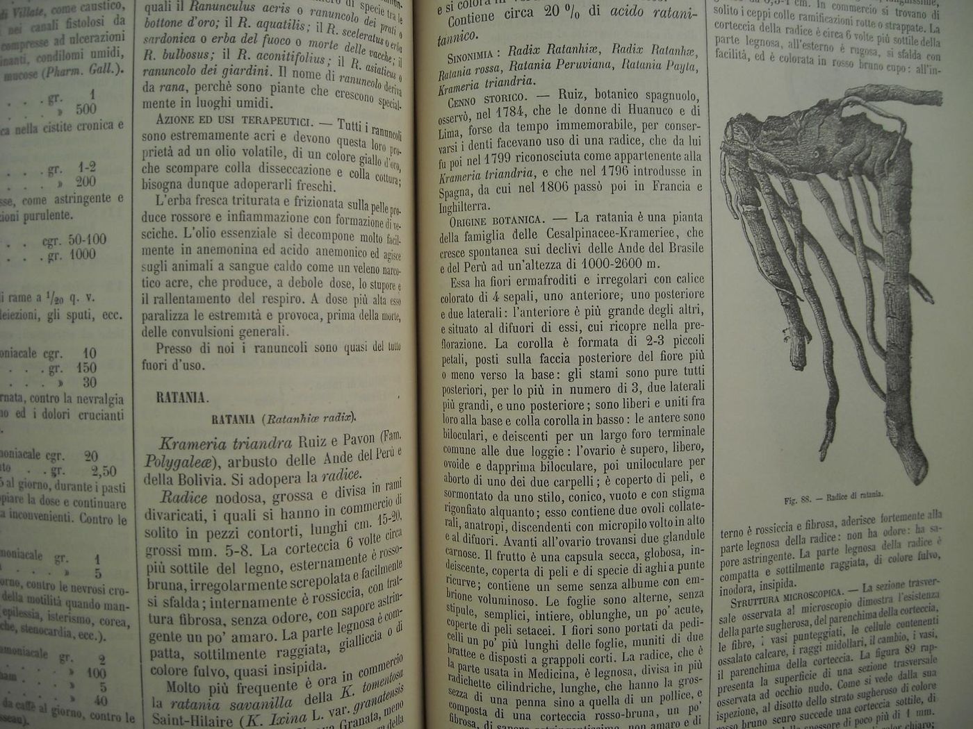 Commentario Farmacopea Italiana Di Icilio Guareschi, 1897 (6 Volumi)