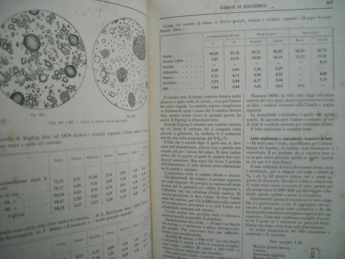 Commentario Farmacopea Italiana Di Icilio Guareschi, 1897 (6 Volumi)