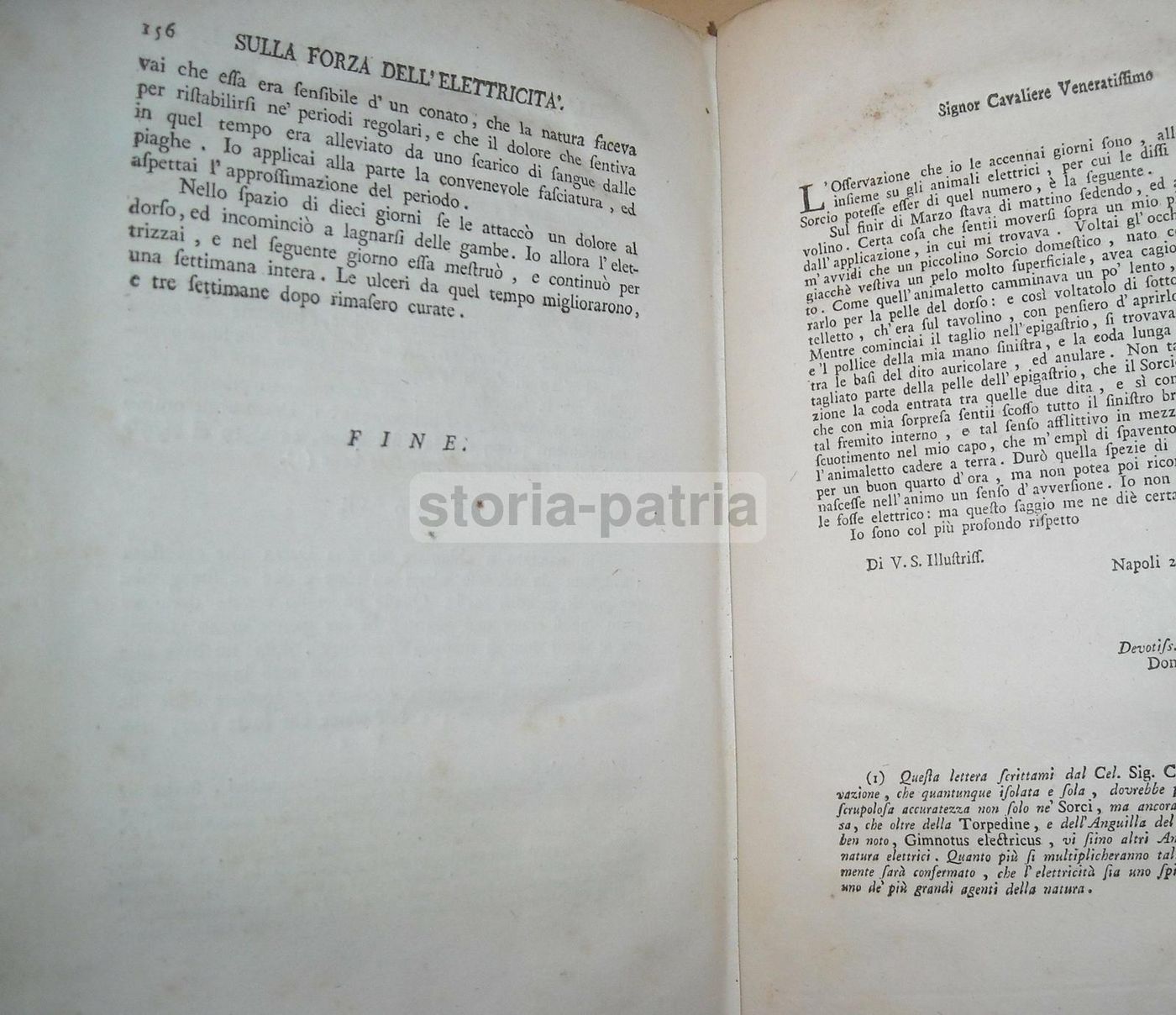 Teoria E Pratica Dell'Elettricità Medica   Giovanni Vivenzio (1784)