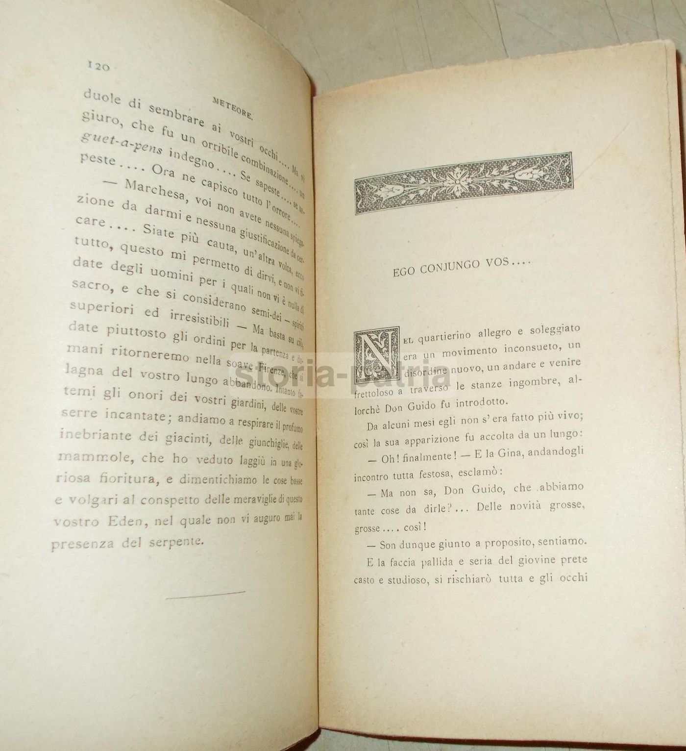 Meteore Di Giselda Fojanesi Rapisardi (Zanichelli, 1891)