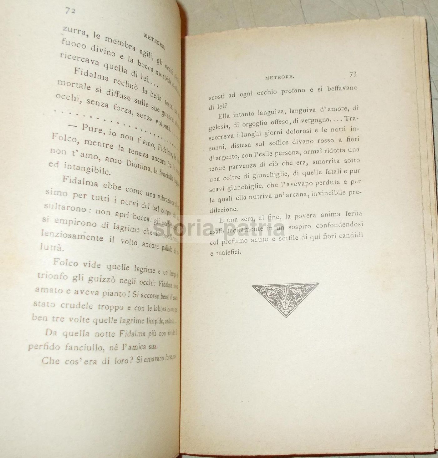 Meteore Di Giselda Fojanesi Rapisardi (Zanichelli, 1891)