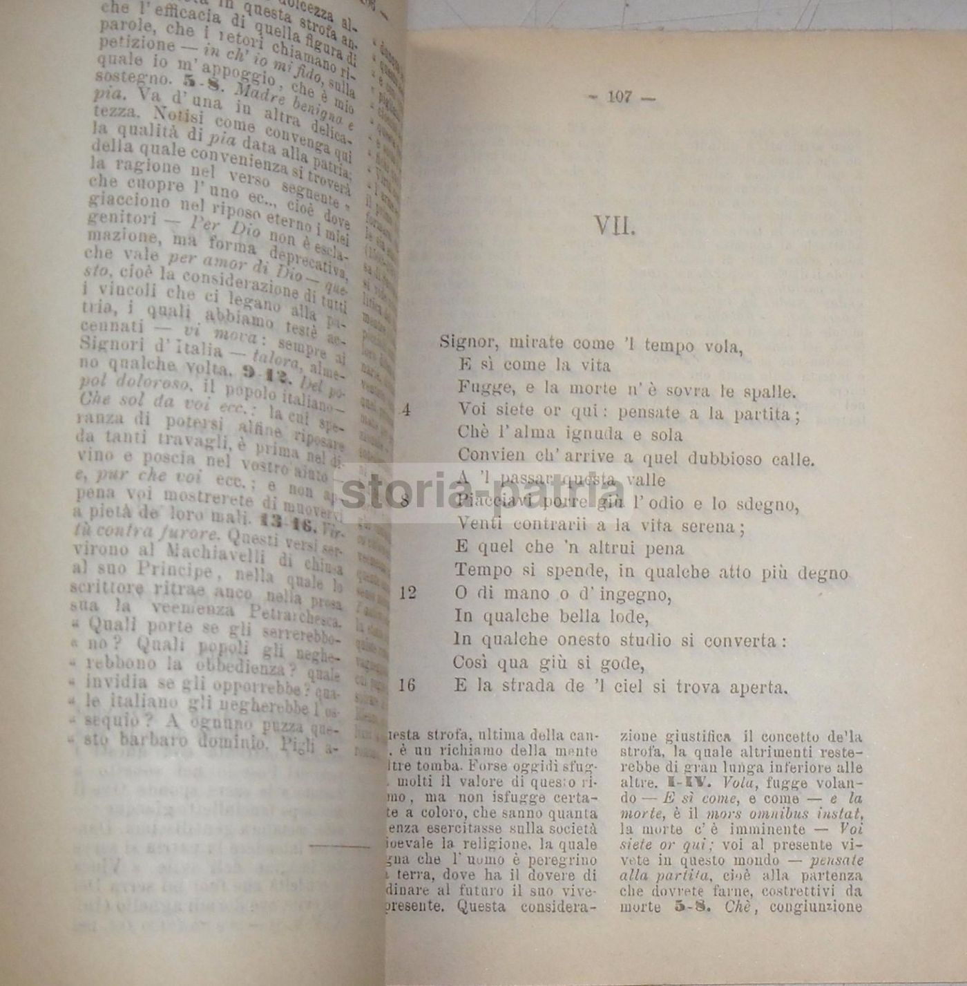 Furnari, Le Canzoni. Petrarca, Reggio Calabria, 1895. Prima Edizione.