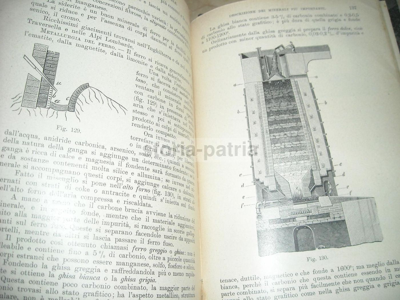 Elementi Di Mineralogia   Pasquale Carnevale (1910) Illustrato