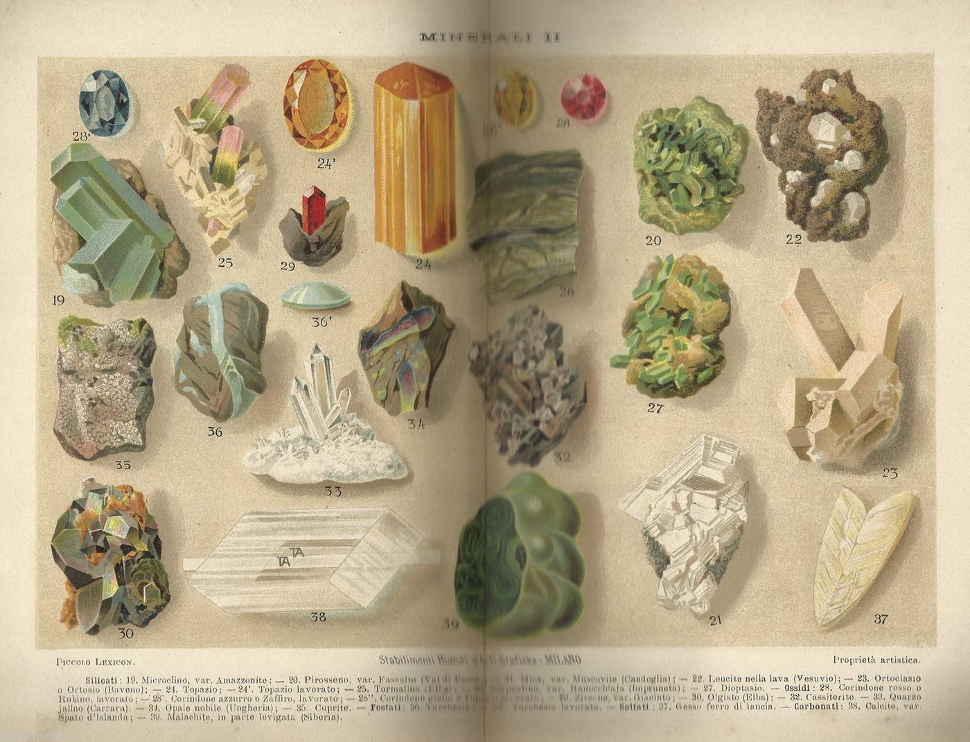 Stampa Antica Minerali Silicati Val Di Fassa, Elba, Carrara (1920 Circa)