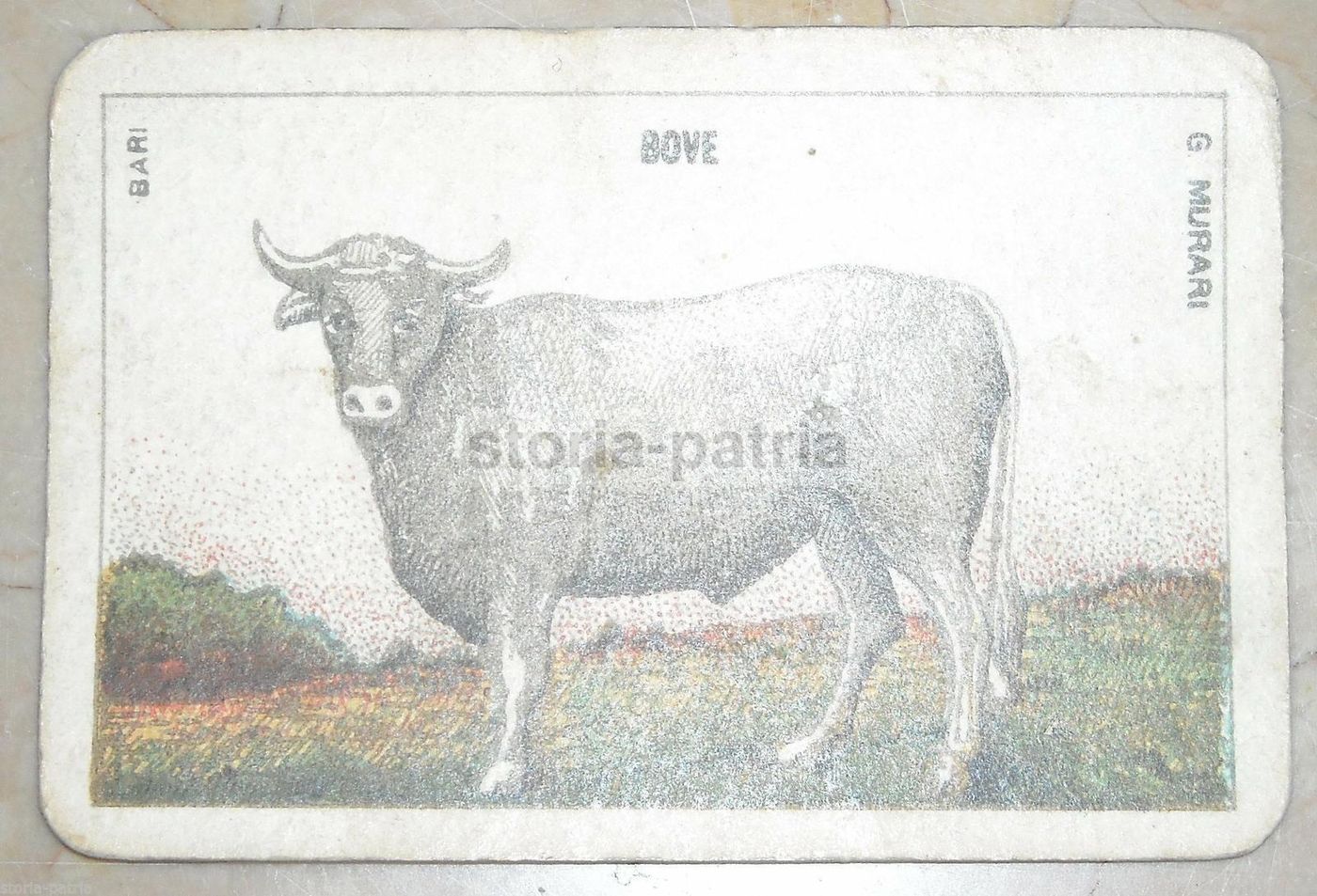 Carta Da Gioco Antica Bovino Murari Bari Fine '800 Inizio '900