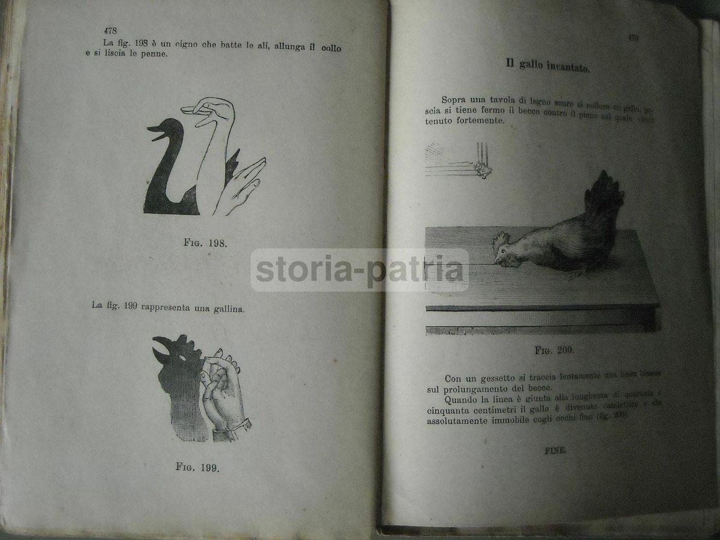 Il Libro Dei Giuochi: Prestidigitazione, Magia E Giochi Di Abilità (Salani, 1926)