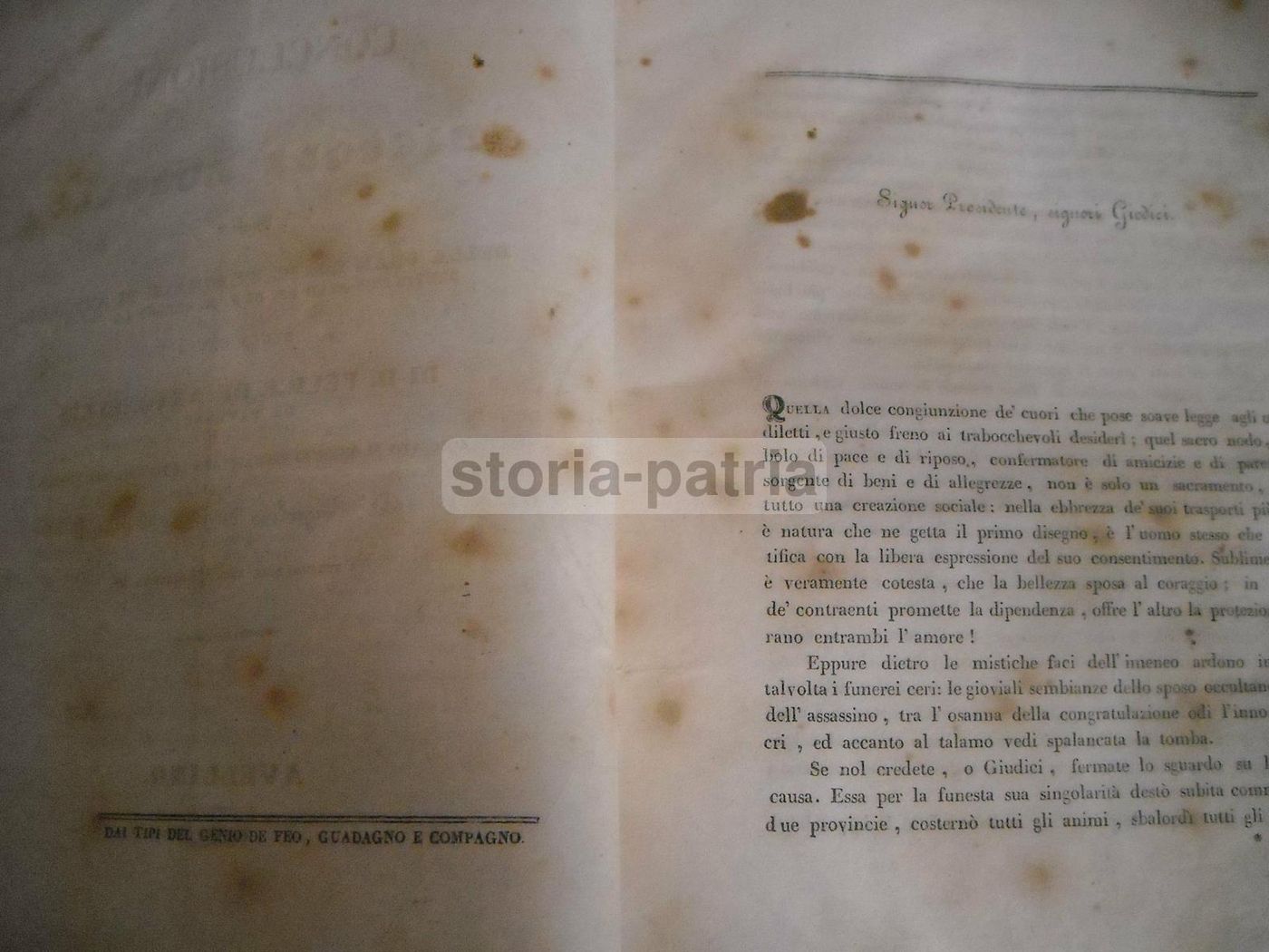 Processo Per Uxoricidio A Paterno, 1838: Conclusioni Di Nicola Morelli Ad Avellino