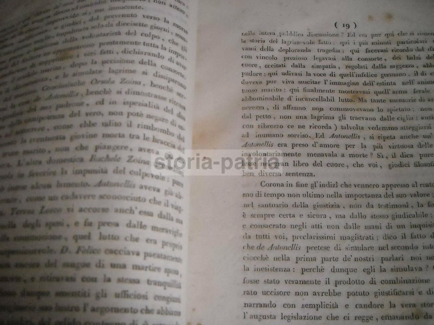 Processo Per Uxoricidio A Paterno, 1838: Conclusioni Di Nicola Morelli Ad Avellino