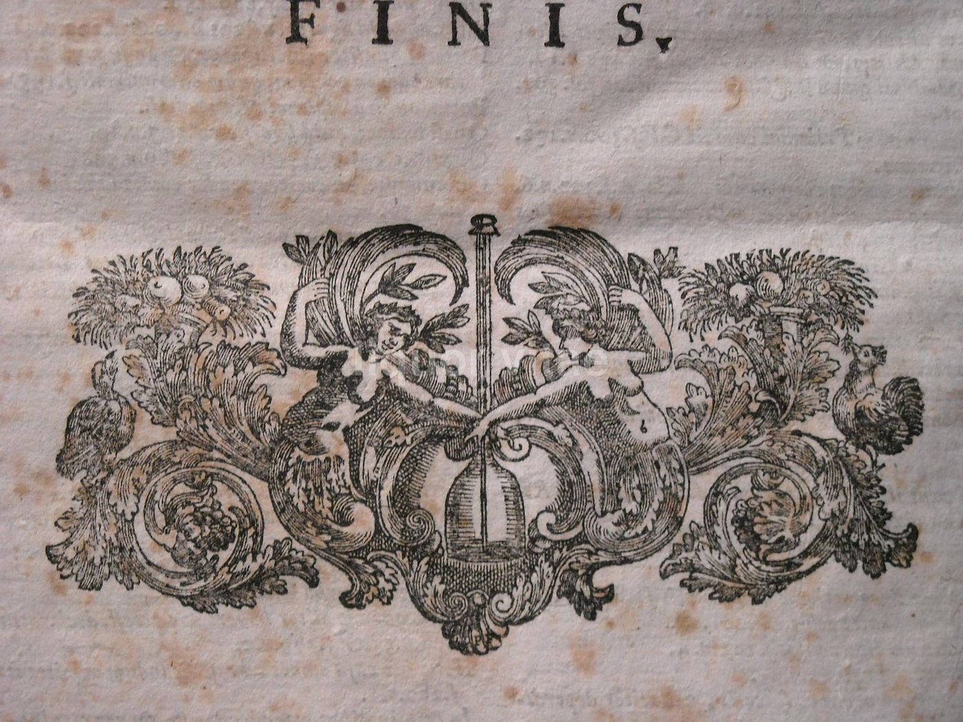 Novissima Praxis Civilis Et Criminalis Napoli 1717 Medicina Legale