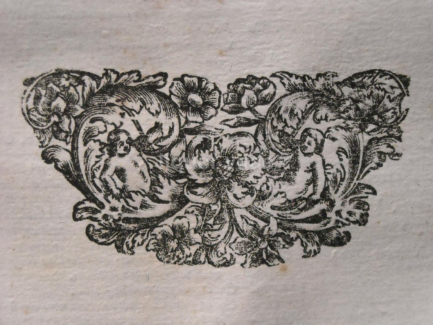 Novissima Praxis Civilis Et Criminalis Napoli 1717 Medicina Legale