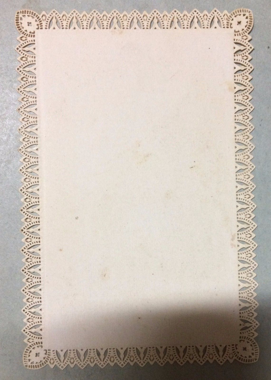 Stampa Devozionale Santa Caterina Da Bologna, Salvardi Paviglione