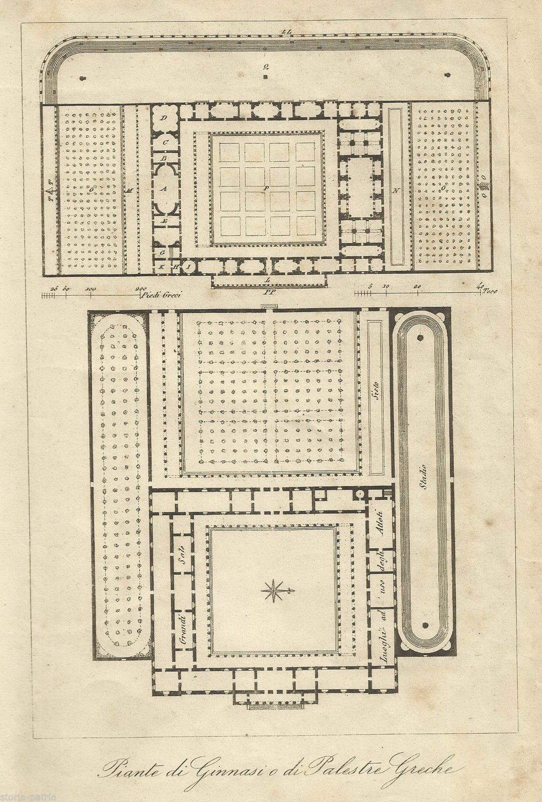 Piante Di Ginnasi E Palestre Greche: Incisione Architettonica Del XIX Secolo