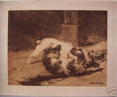Herrmann Leon, Lotta Tra Cani, Acquaforte Originale In Seppia, XIX Secolo