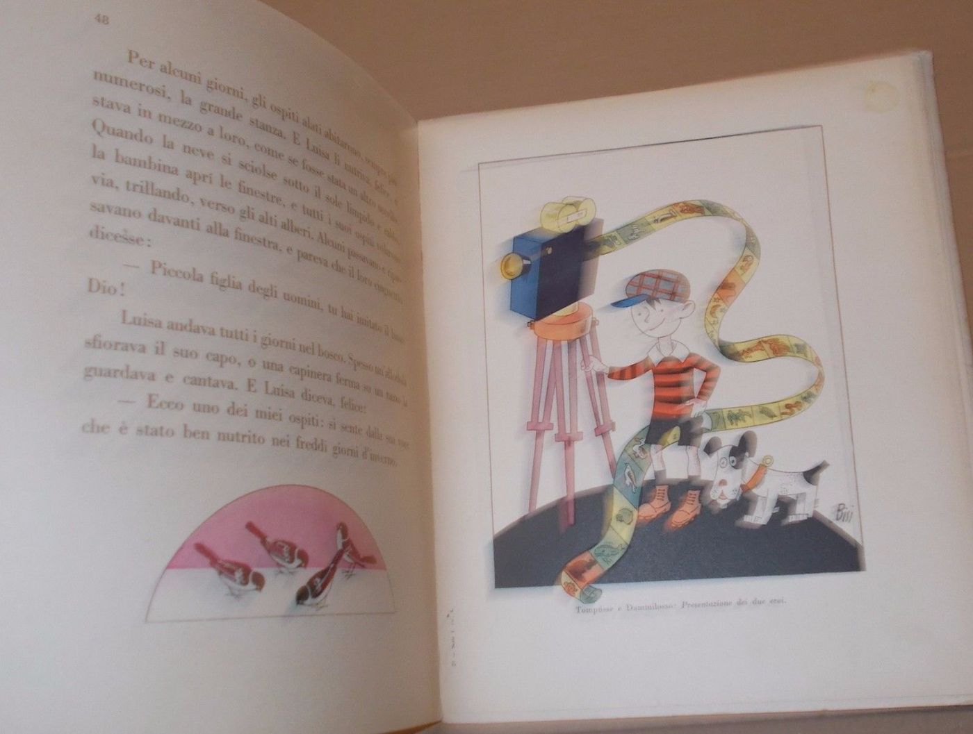 Tompusse E Le Bestie Di Mario Buzzichini, Illustrato Da Carlo Bisi