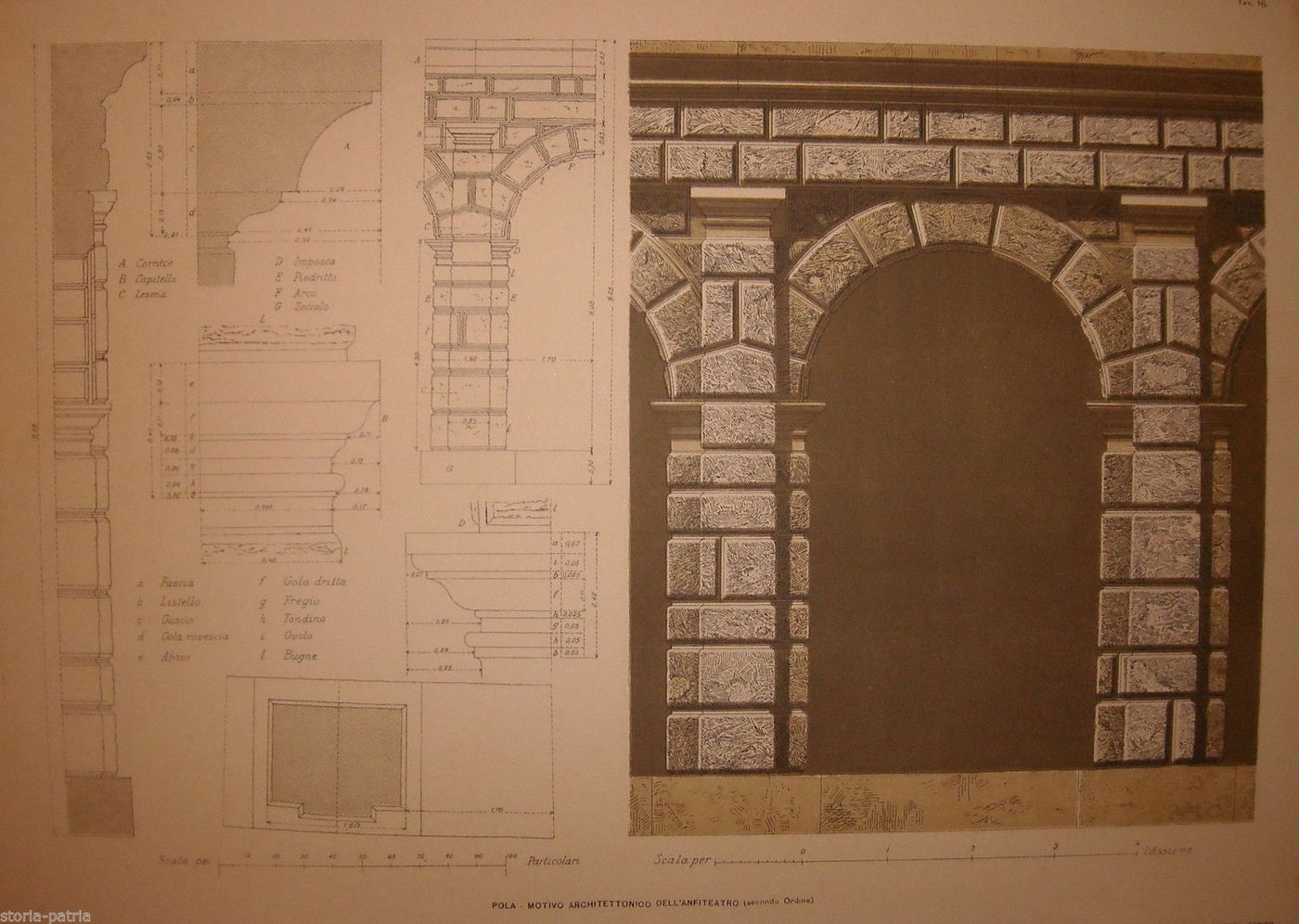 Anfiteatro Romano Di Pola: Motivi Architettonici (secondo Ordine)