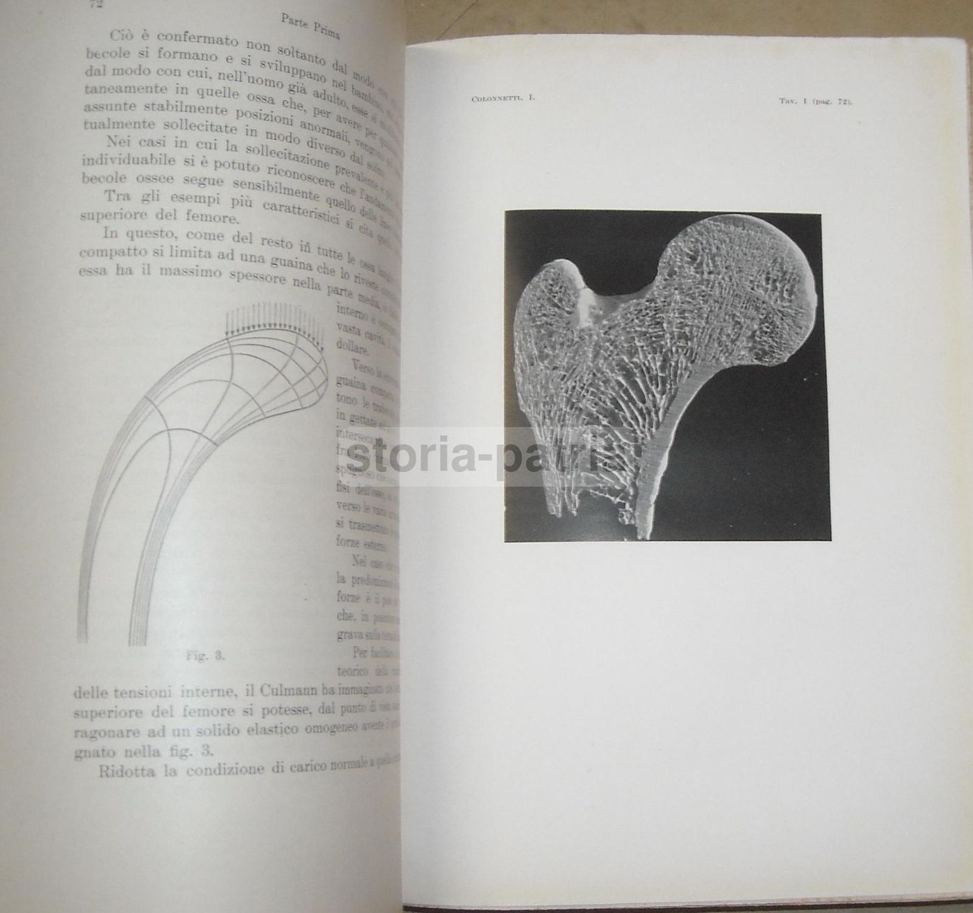 La Statica Delle Costruzioni Gustavo Colonnetti 1928