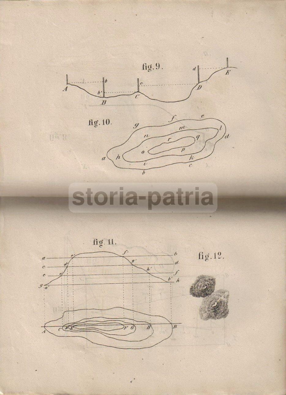 Elementi Di Topografia: Geodesia Militare, Roma 1874