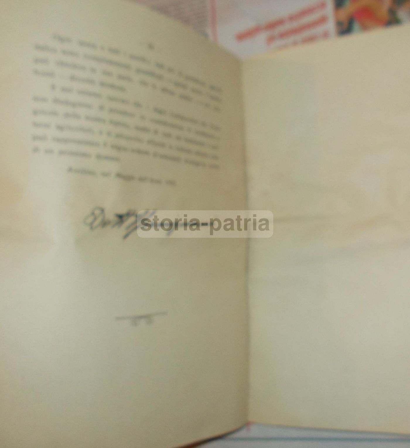 La Bonifica Integrale Nell'Irpinia: Elio Gramignani, 1930