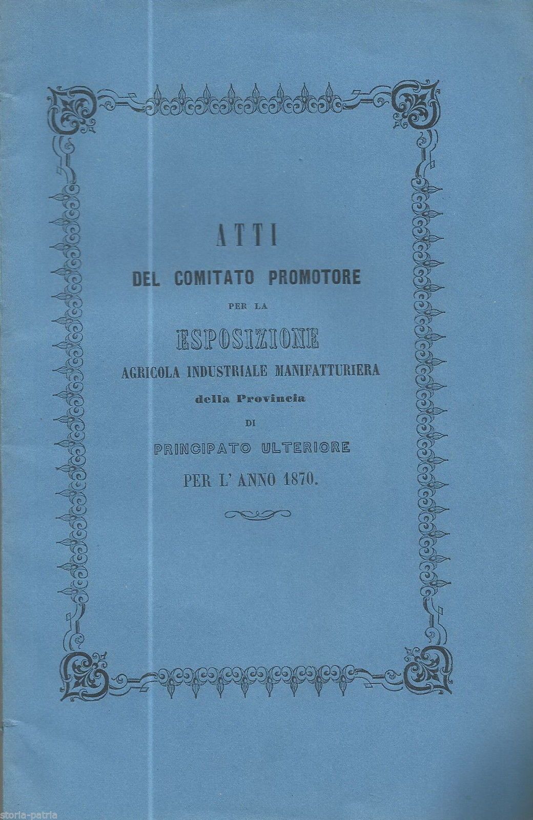 Esposizione Agricola Industriale Avellino 1870: Atti Del Comitato Promotore