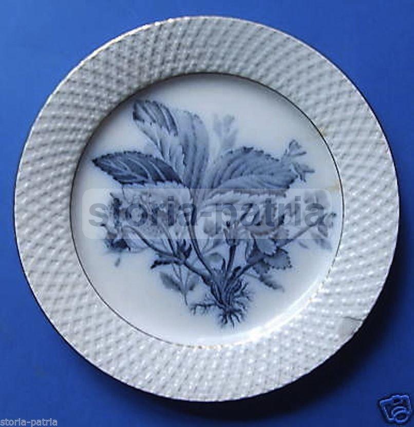 Piatto In Ceramica Società Ceramica Italiana Laveno, Fine '800
