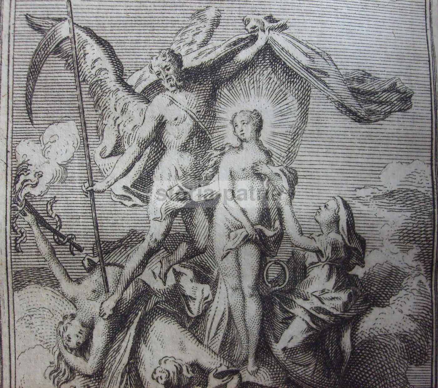L'Avocat Du Diable: Papa Gregorio VII E San Vincenzo De Paoli, 1743