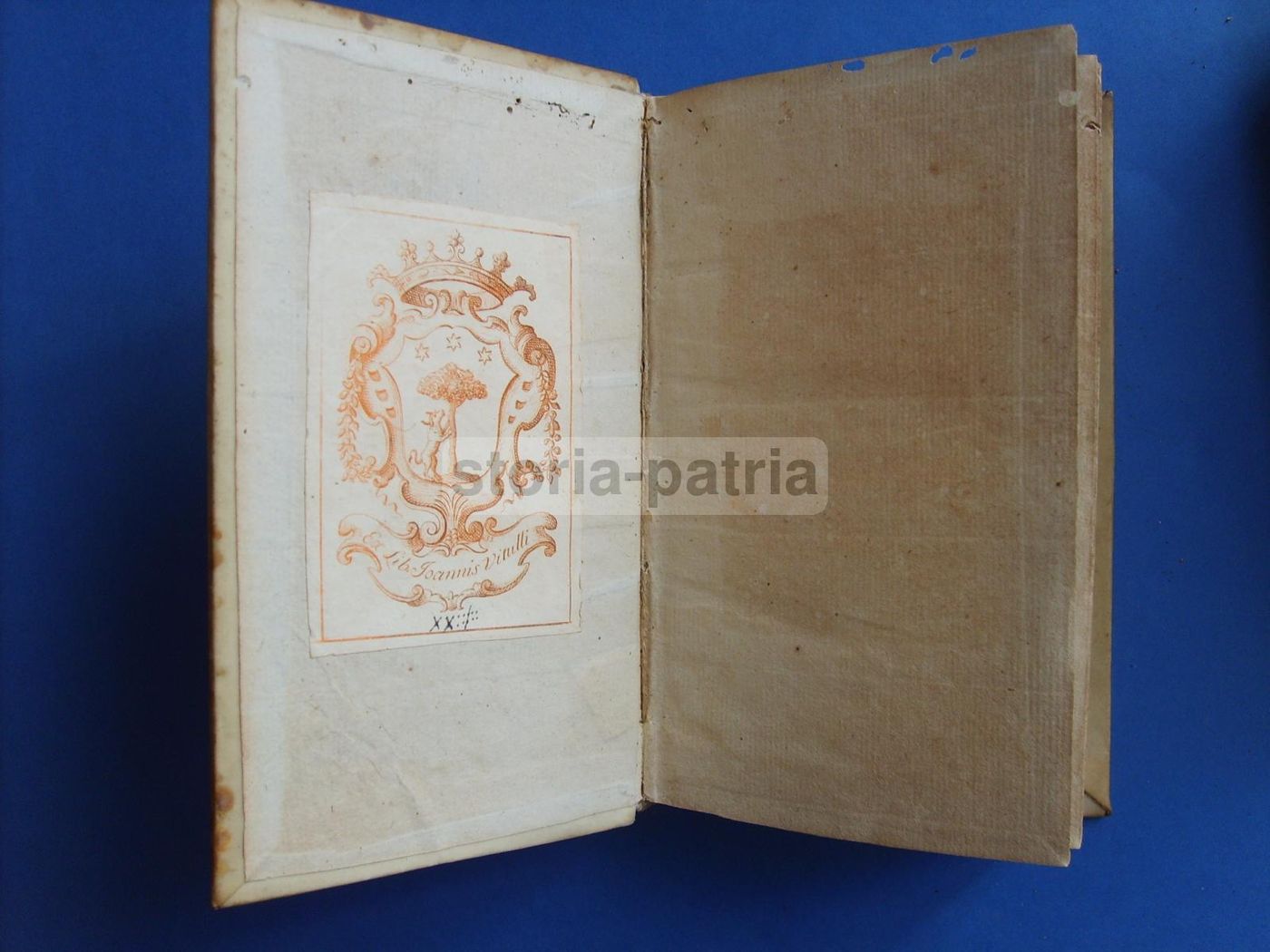 L'Avocat Du Diable: Papa Gregorio VII E San Vincenzo De Paoli, 1743
