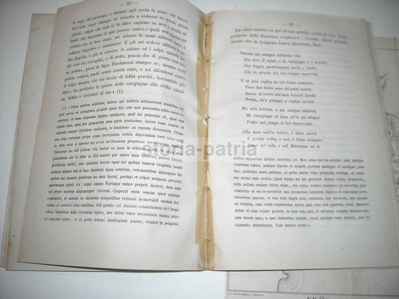 Questioni Di Geografia Petrarchesca d'Ovidio 1888 Con Mappa Litografica
