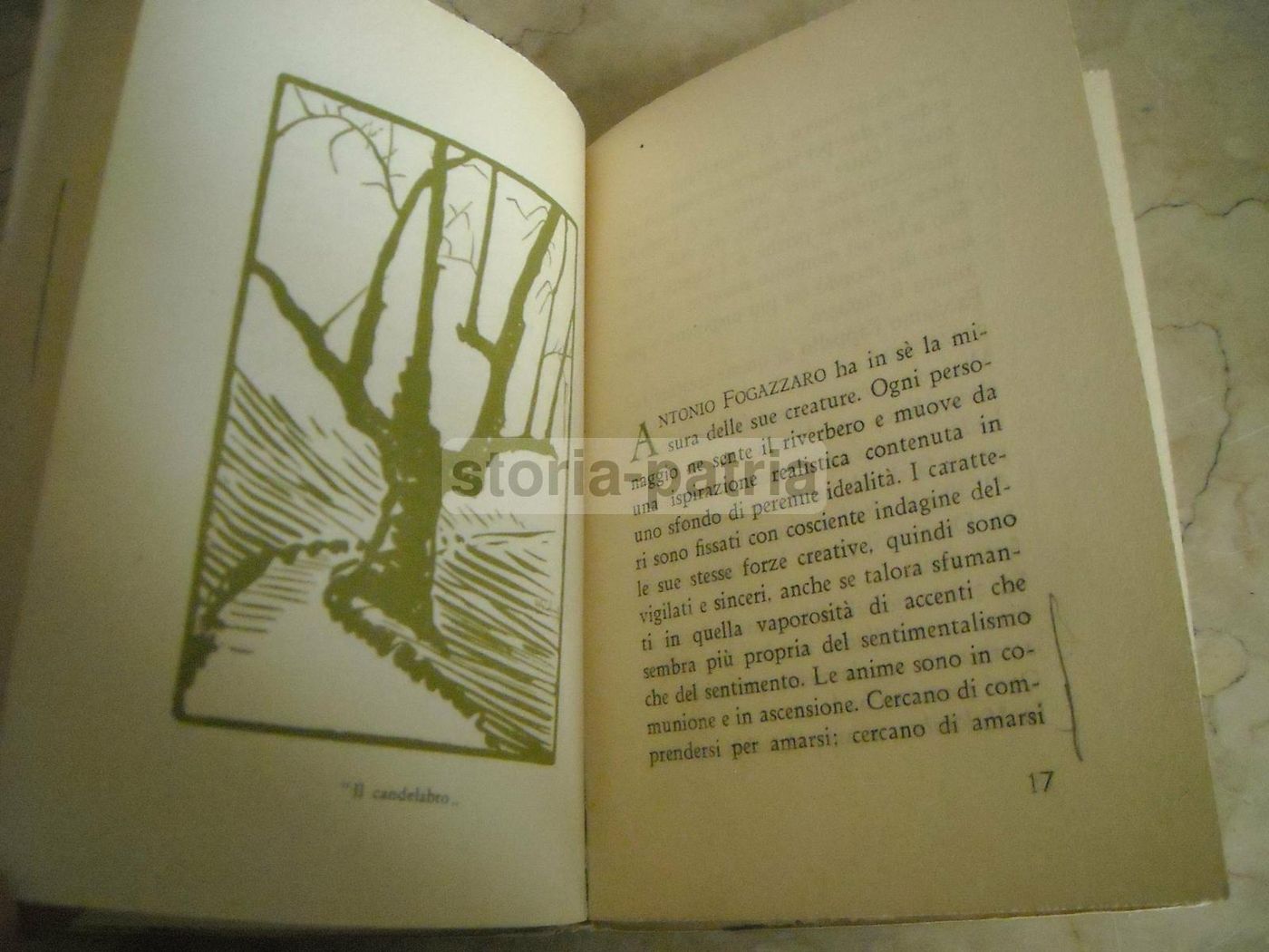 Alla Montanina Con Le Creature Fogazzariane, Ugo Zannoni, 1942