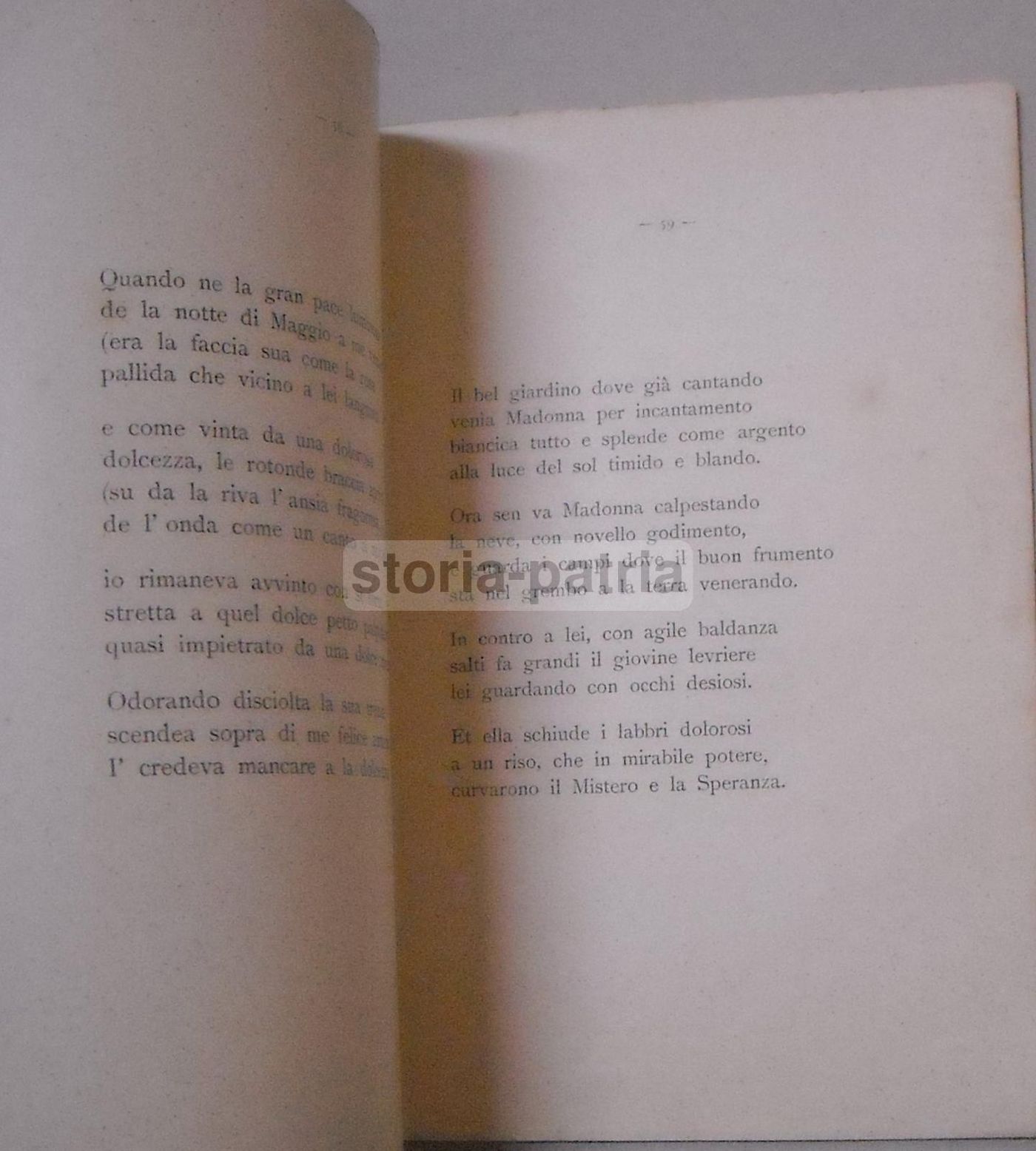 Vita Nova, Brunello d'Ardenza (Pietro Baldini), Livorno 1910