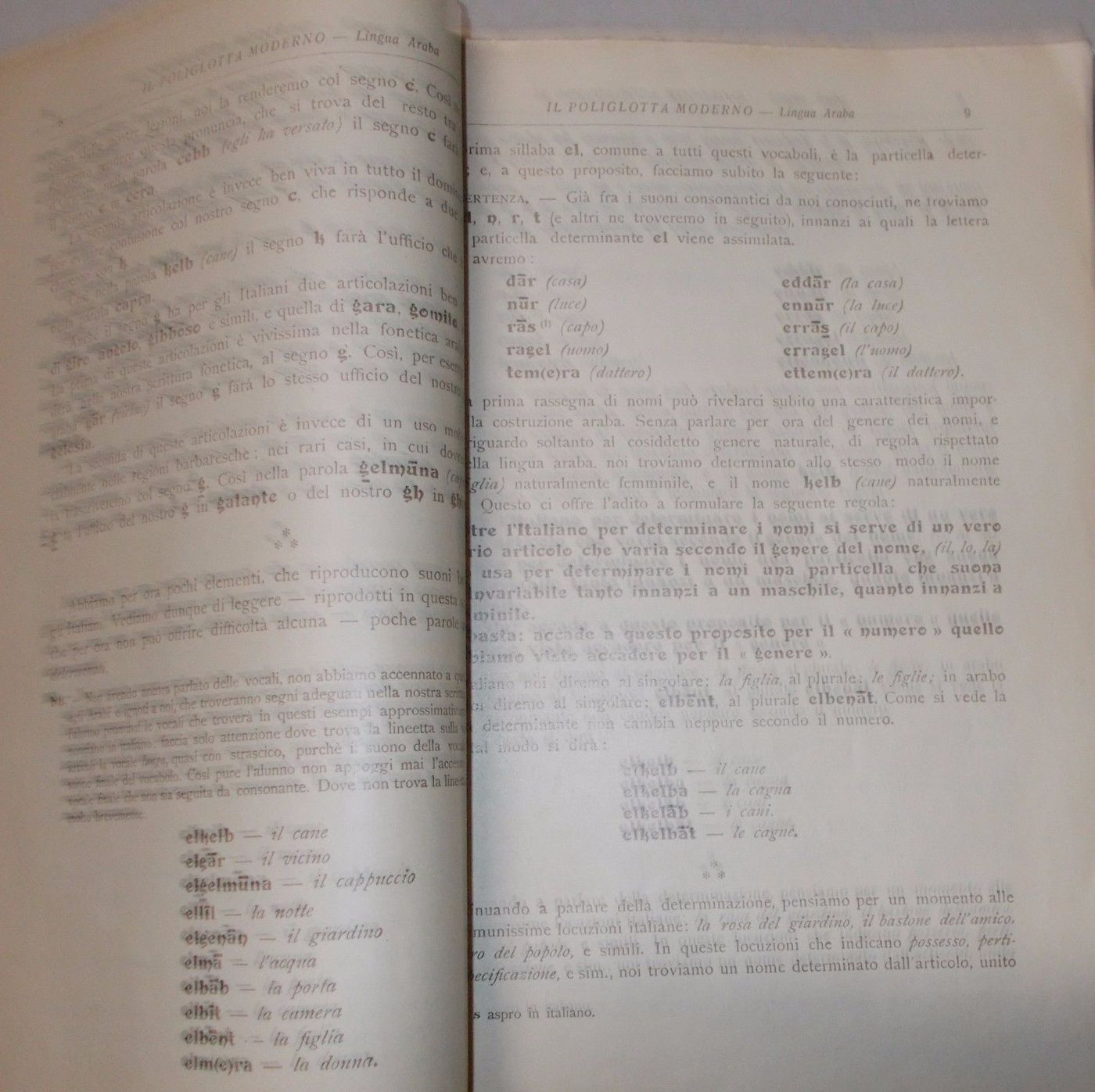 Manuale Lingua Araba Eugenio Levi 1933 Sonzogno Il Poliglotta