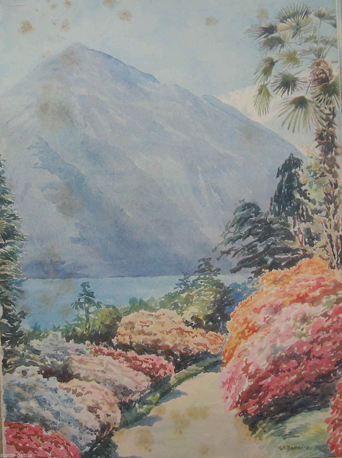 Villa Carlotta, Lago Di Como: Azalee In Fiore. Stampa Antica Di Ramorino, 1929