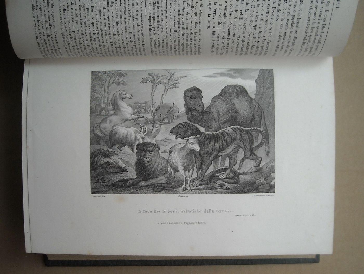 Sacra Bibbia Illustrata Antonio Martini 1862 Incisioni E Mappe