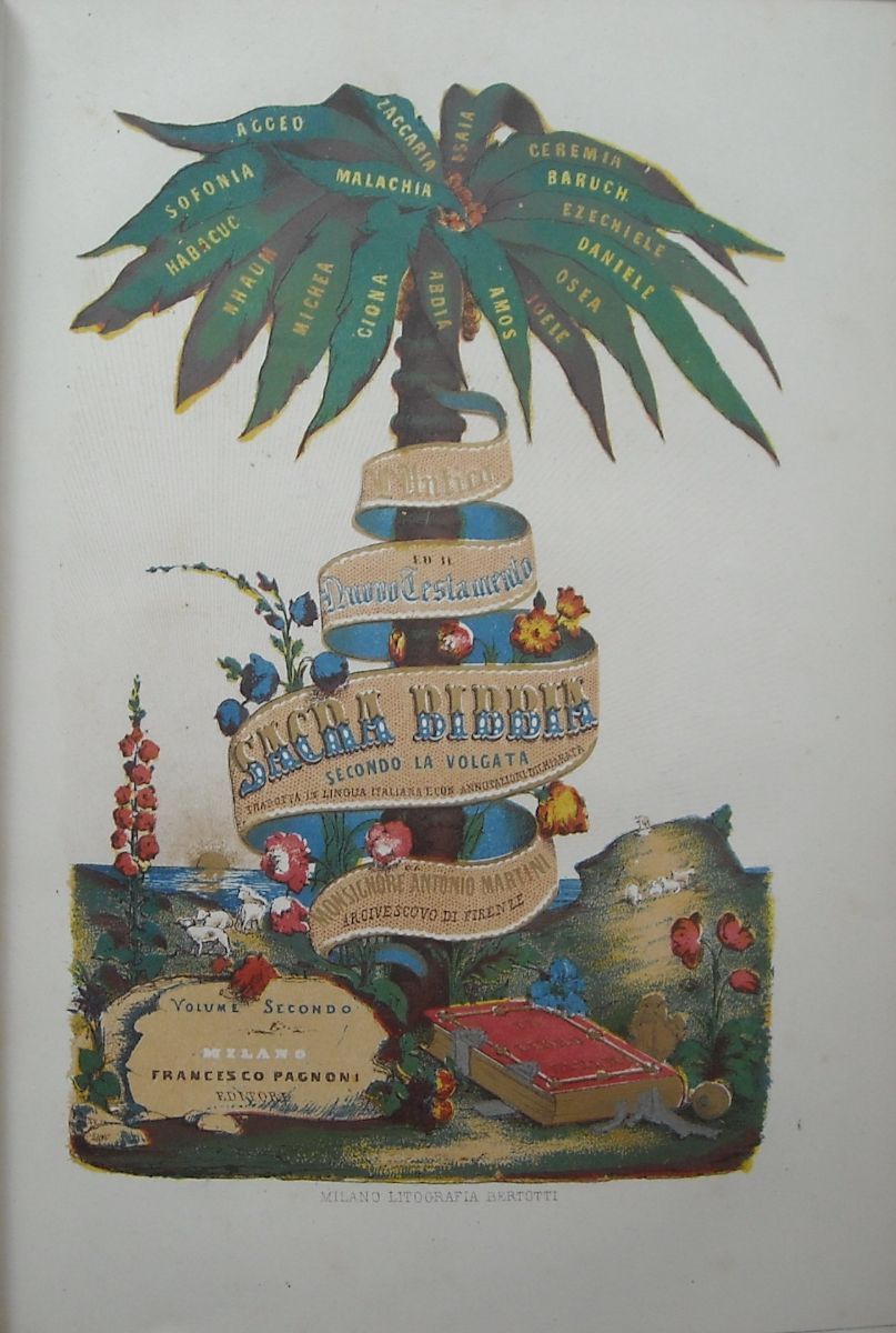 Sacra Bibbia Illustrata Antonio Martini 1862 Incisioni E Mappe