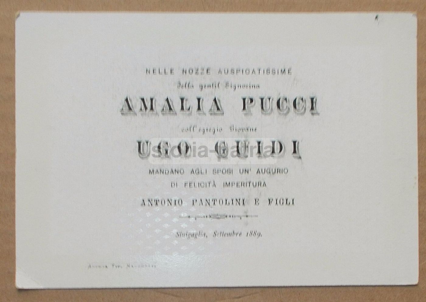 Biglietto d'Auguri Per Le Nozze Pucci Guidi, Senigallia, 1889