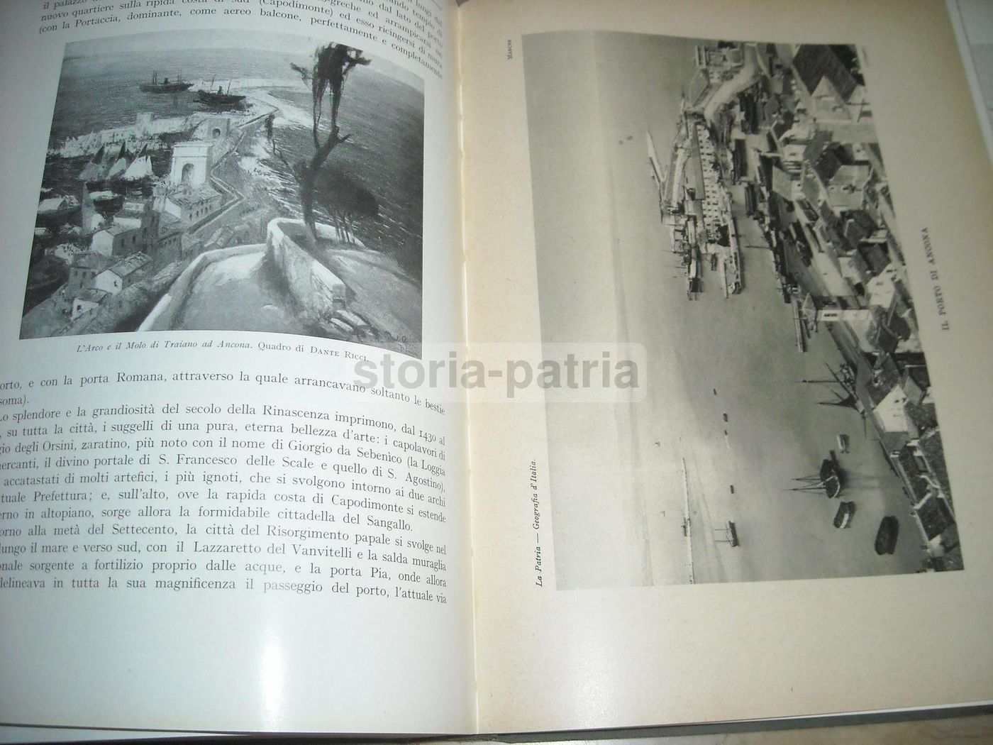 Marche Di Ettore Ricci, Utet 1929. Illustrato Con Mappe E Tavole