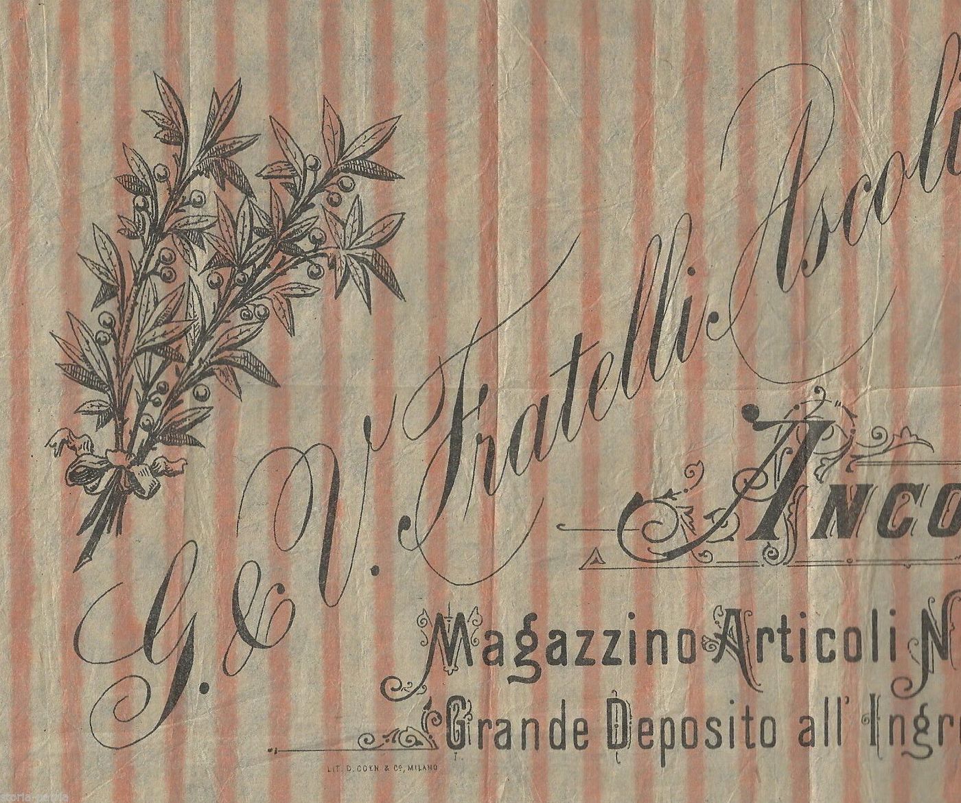 Pubblicità Antica Fratelli Ascoli Ancona, Magazzino Ingrosso, Prima Metà Del '900