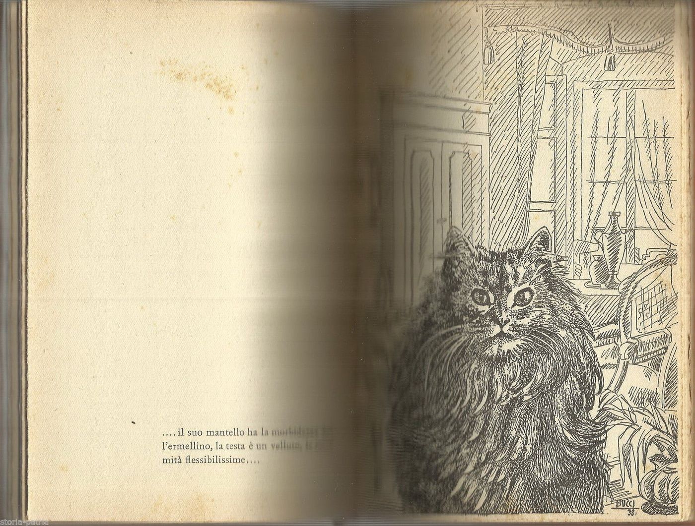 Sul Gatto Di Giovanni Rajberti 1938 Illustrato Da Anselmo Bucci
