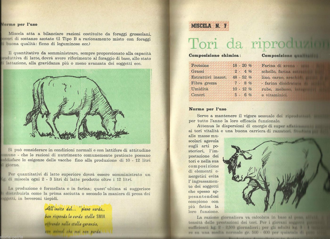 SMIA Iesi Mangimi Animali Zootecnia Agricoltura Marche 1940