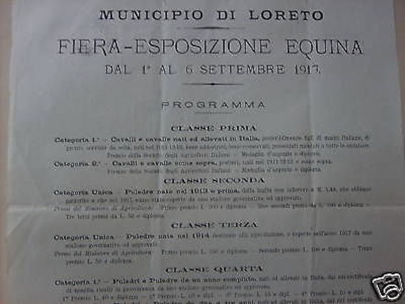 Manifesto Fiera Equina Loreto 1917 Foglio Volante Originale