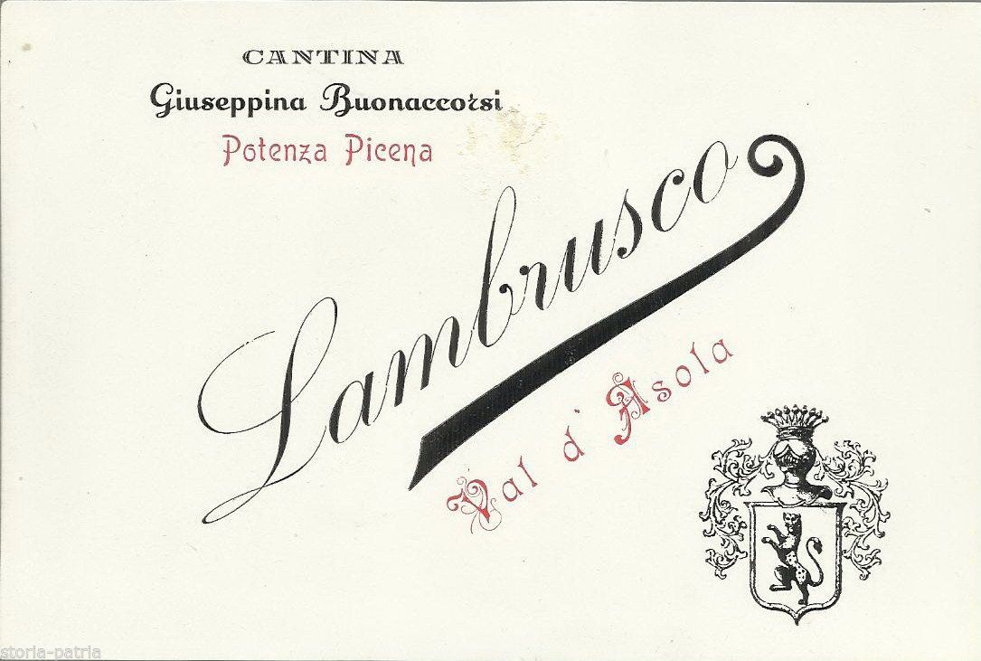 Etichetta Cantina Buonaccorsi, Lambrusco, Potenza Picena
