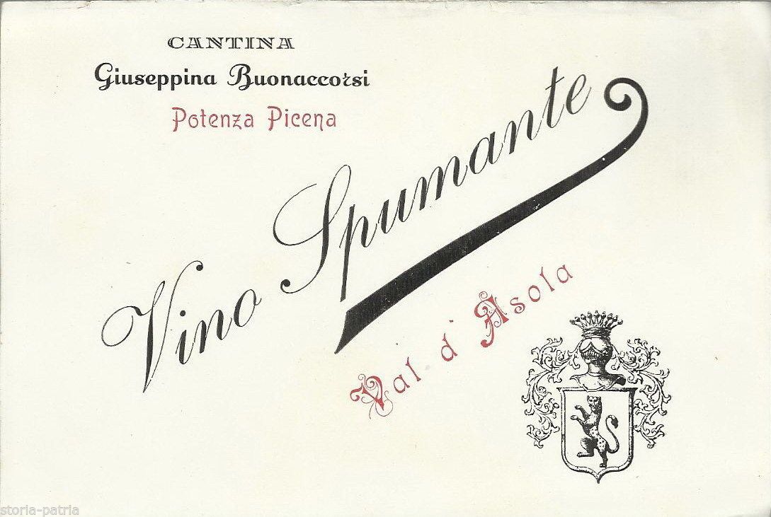 Etichetta Vino Spumante Cantina Buonaccorsi Potenza Picena 1900
