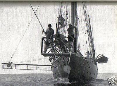 L'Avventura Della "Zaca" Di William Beebe, Bompiani 1956