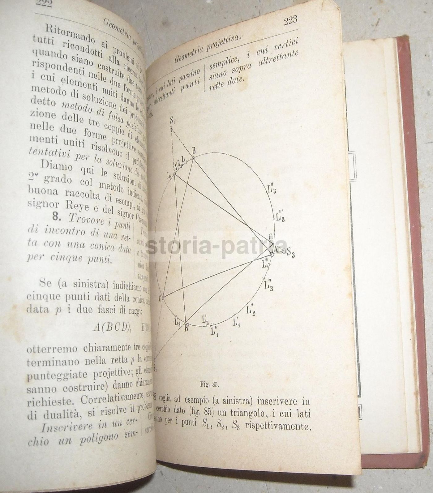 Geometria Projettiva Del Piano E Della Stella   Ferdinando Aschieri   Hoepli 1895