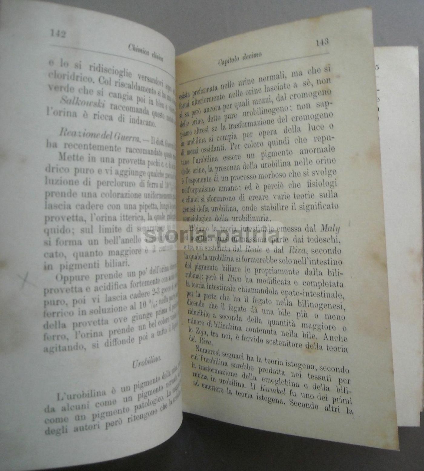 Chimica Clinica Di Raffaele Supino, Hoepli 1902, Prima Edizione